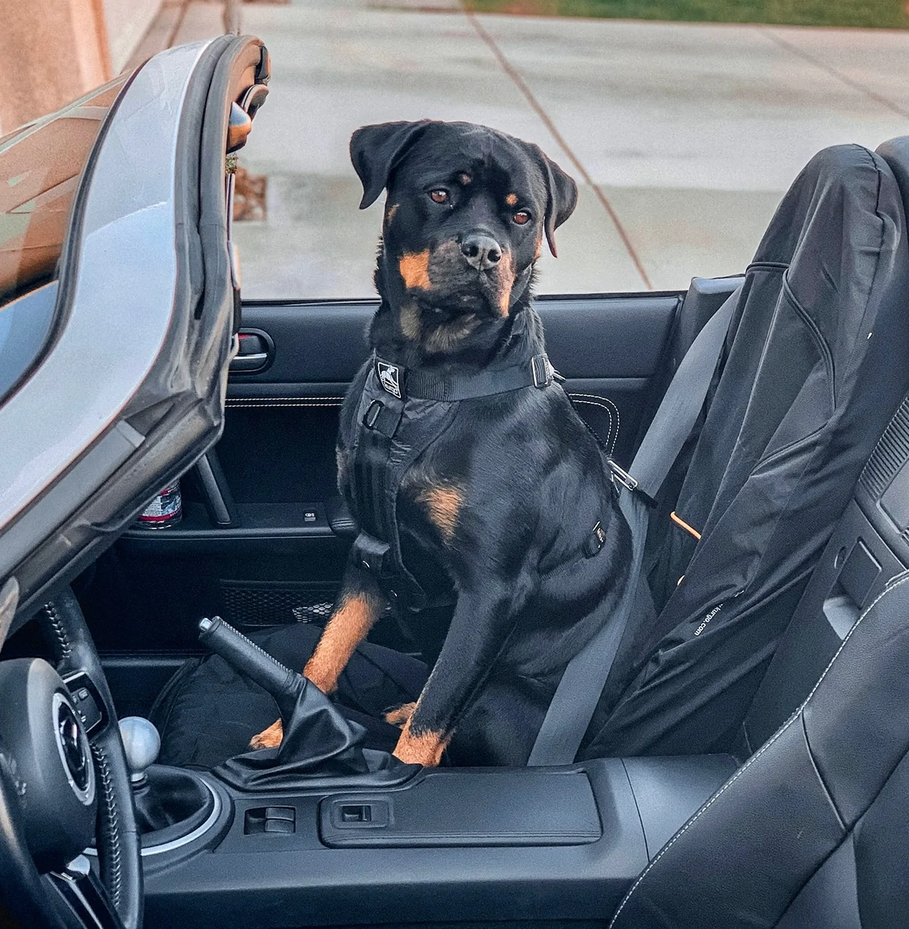 JPEG image-54A3EADE8D5F-1.webp